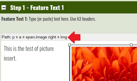 How To Insert Responsive Pictures Liaa